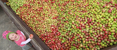 Vom Apfel zum Saft