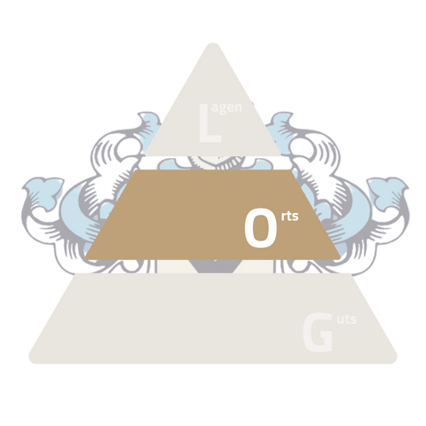 2022 Westhofener Morstein Weißer Riesling Qualitätswein feinherb BIO-WEIN