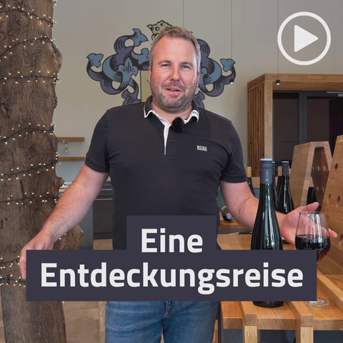 2024er Gundersheimer Höllenbrand Blauer Spätburgunder Rotwein Qualitätswein trocken BIO-WEIN