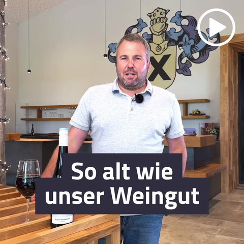 2021 Westhofener Bergkloster Blauer Portugieser Qualitätswein lieblich BIO-WEIN
