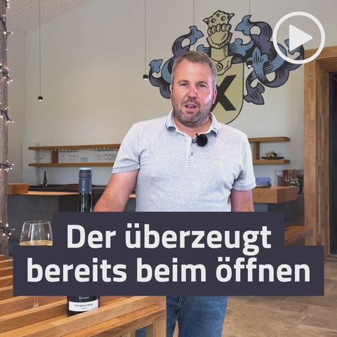 2024 Gundersheimer Höllenbrand Sauvignon Blanc Qualitätswein trocken BIO-WEIN