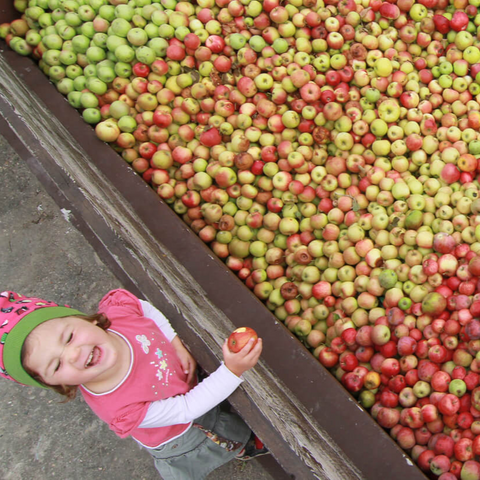 Vom Apfel zum Saft