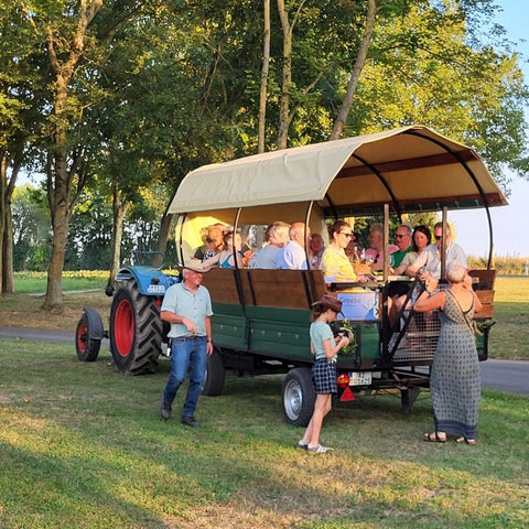 Weinerlebnisse auf dem Weingut