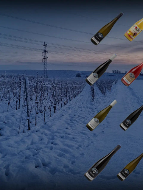 BIO-Weine, Natursäfte und mehr