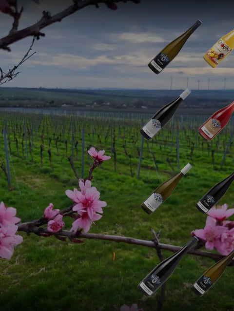 BIO-Weine, Natursäfte und mehr