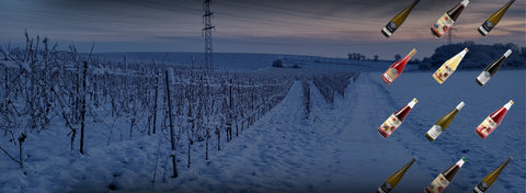 BIO-Weine, Natursäfte und mehr