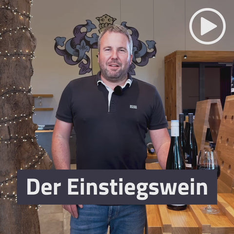 2023er Westhofener Rotenstein Dornfelder Rotwein Qualitätswein trocken BIO-WEIN