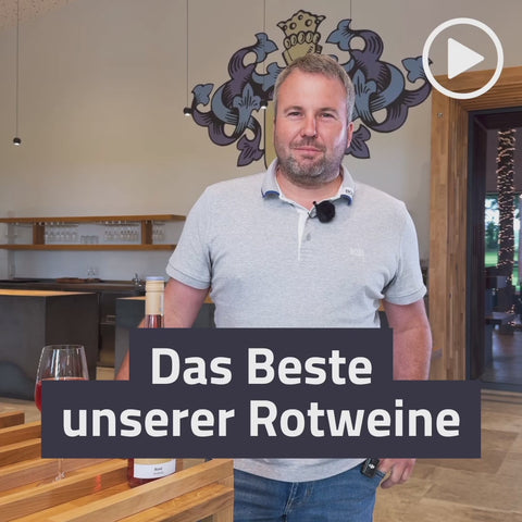 2023er Westhofener Bergkloster Qualitätswein rosé feinherb BIO-WEIN