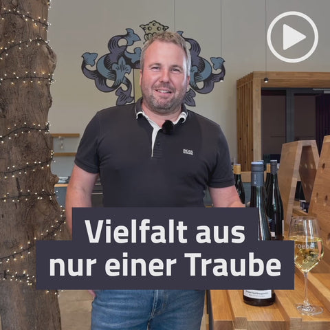 2023er Gundersheimer Höllenbrand Blauer Spätburgunder B.d.N Qualitätswein trocken BIO-WEIN