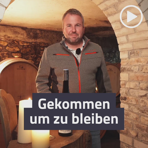 2022er Westhofener Brunnenhäuschen Cab. Sauvignon Rotwein Qualitätswein trocken BIO-WEIN